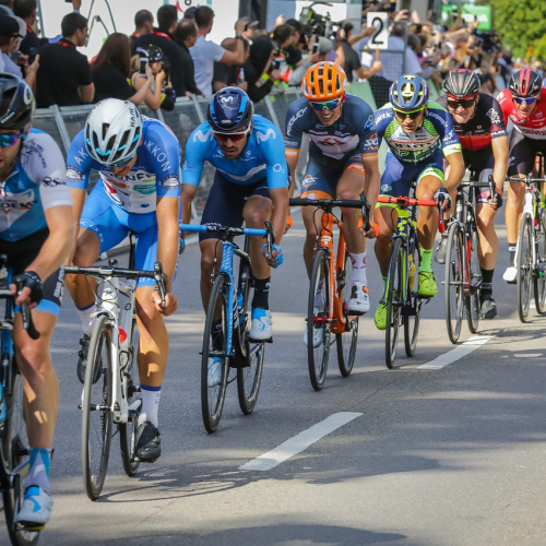 Salem Women’s Elite Road Bike